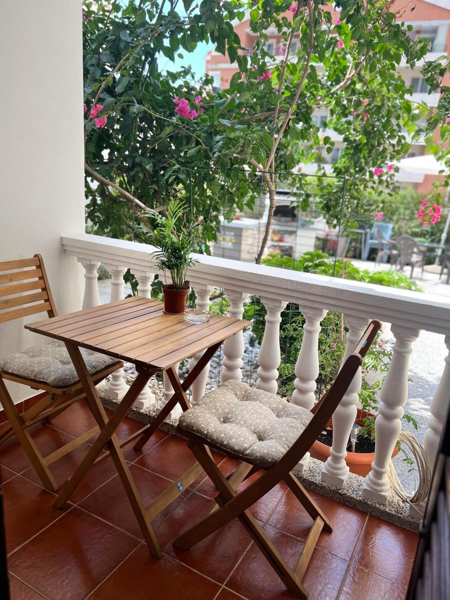 Villa Dionis Μπούντβα Εξωτερικό φωτογραφία
