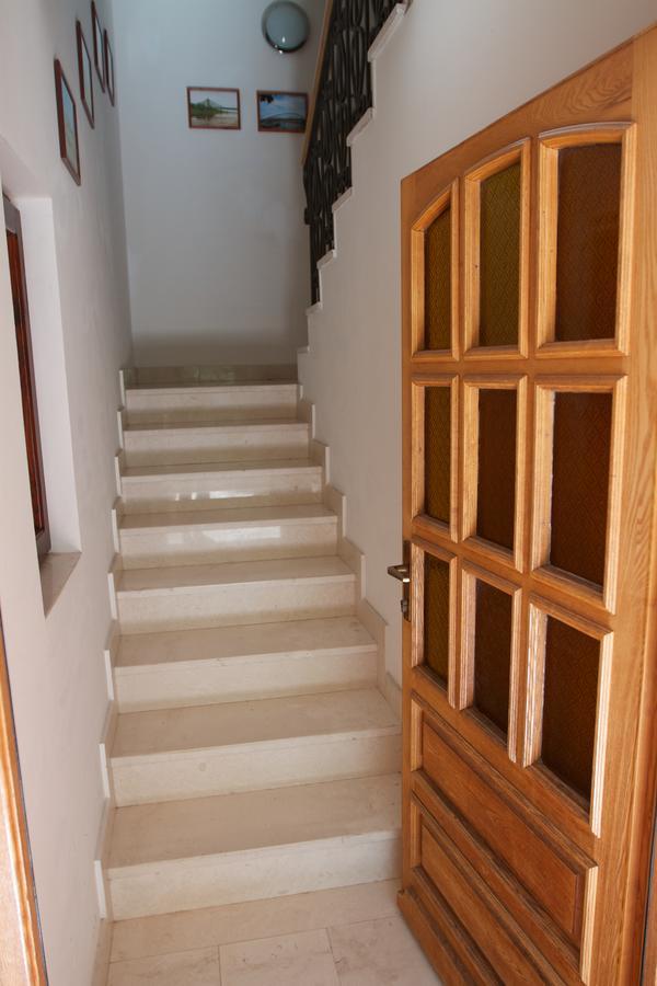 Villa Dionis Μπούντβα Εξωτερικό φωτογραφία